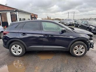 Opel Grandland X picture 4