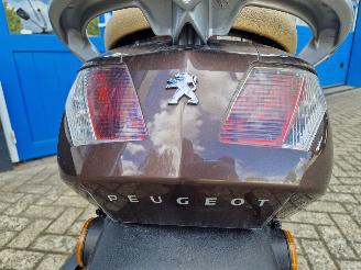 Peugeot  VIVACITY picture 12