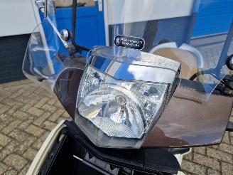 Peugeot  VIVACITY picture 21