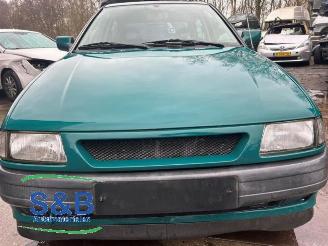 Seat Ibiza Ibiza II (6K1), Hatchback, 1993 / 2002 1.4i picture 22