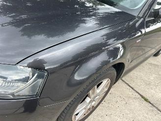 Audi A3 1.4 TFSI 16V Hatchback 4Dr Benzine 1.390cc 92kW (125pk) FWD 2007-06/2012-08 (8PA) CAXC picture 19