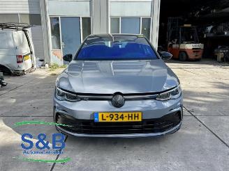 Volkswagen Golf Golf VIII (CD1), Hatchback, 2019 1.5 eTSI 16V picture 10